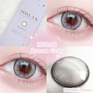 MOLAK 1day Dream Gray モラクワンデー ドリームグレー